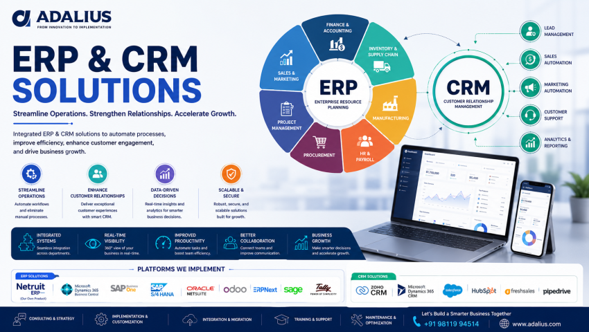 ERP Consultancy